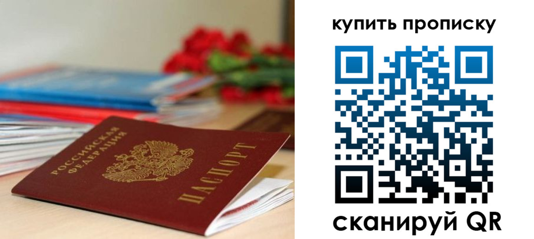 прописка в Сальске
